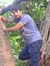 Sandeep...