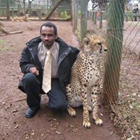 Ayman Elshayeb