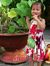 Hai Duong