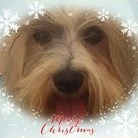 Karen Clark Stapleton