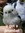 Casper