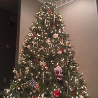 Lori Bennett Carnaghi