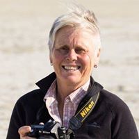 Wendy Reid