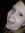 Aubrea VanderMolen | 1 comments