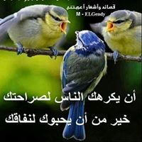 ناهل العبسي