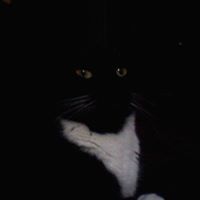 Madelyn Lucille Huse