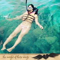 หมีโคอาล่า ทุ่งหญ้าลาเวนเดอร์