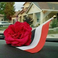 عبدالعزيز القانصي