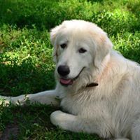 наталия разбегина