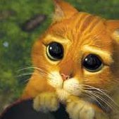 محمد الهميلي