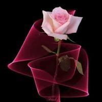 صهيل الكبرياء