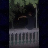 ვარდიძე ვარდიძე