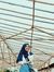 Ulfa N