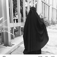 الأوركيدة المخملية