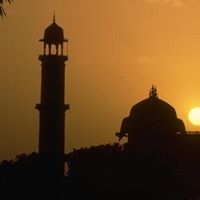 حسن ابو على