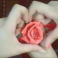Setayesh Hosaini