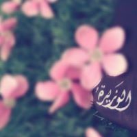 أسماء الزيدي