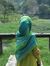 Desi Tr...