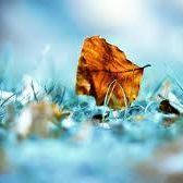 Vanmathi Chandrasekaran