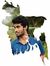 কাইমুল ...