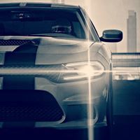 محمد آل نعيم