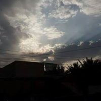 حمزه الفتلاوي