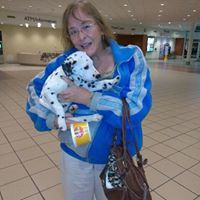 ellen.brainardgmail.com