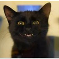 Мария Иванова