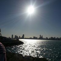 غدا تشرق الشمس