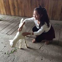 Weiting Neoh