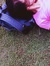 Nurul N...