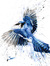 Janee_dark&eroticreads4me