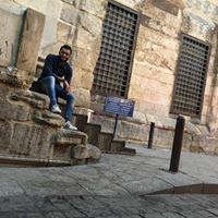 Mahmoud A. Aboalnasr