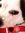 Hannah-...