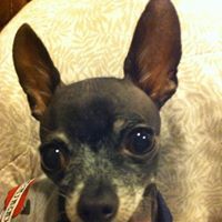 Jennifer Oberholtzer