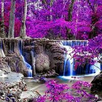 طاهر الادلبي