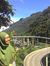 Fenny D...
