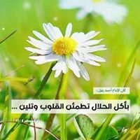 فتحي ودالأبيض