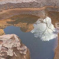 علي المنصور