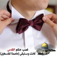 Eng Abdulhaleem