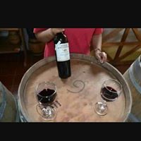 مستر القحطاني