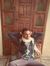 Ahmed Kido