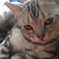 ทะเลสีดำ ไม่นานก็เช้า