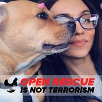 jaredakinneygmail.com