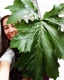 Sigourney Castel de Oro