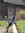 ZAi | 3 comments