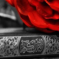 M. Ahmed