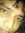 Sachin ...