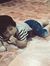 Fadhil ...