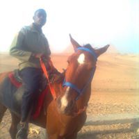 أحمد الهندي